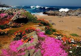 Primavera in salento
